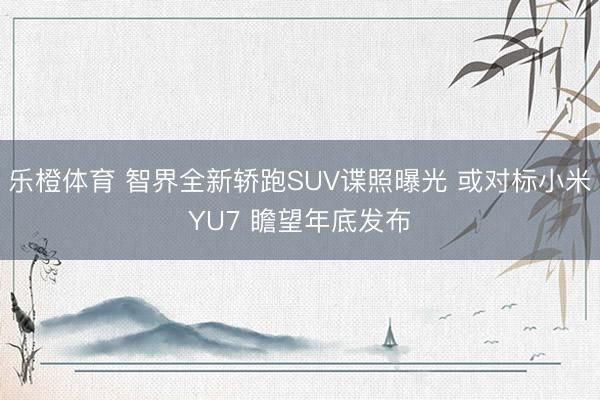 乐橙体育 智界全新轿跑SUV谍照曝光 或对标小米YU7 瞻望年底发布