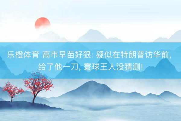 乐橙体育 高市早苗好狠: 疑似在特朗普访华前， 给了他一刀， 寰球王人没猜测!