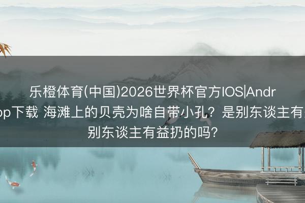 乐橙体育(中国)2026世界杯官方IOS|Android手机app下载 海滩上的贝壳为啥自带小孔？是别东谈主有益扔的吗？