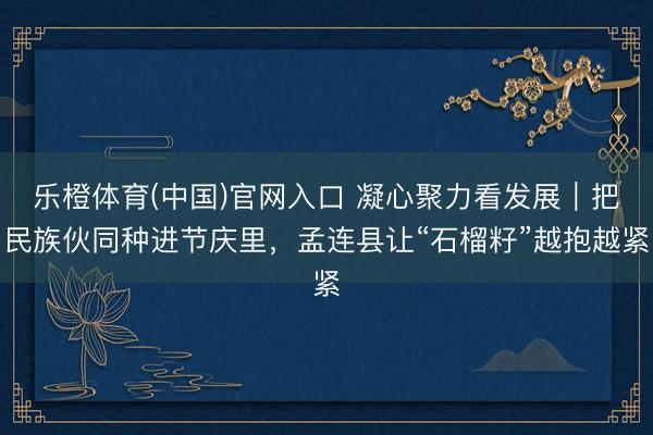 乐橙体育(中国)官网入口 凝心聚力看发展｜把民族伙同种进节庆里，孟连县让“石榴籽”越抱越紧