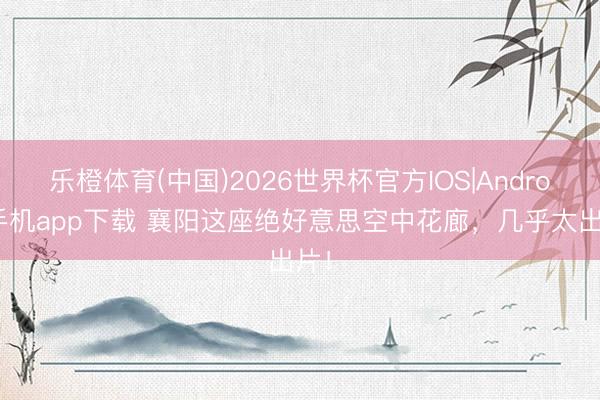 乐橙体育(中国)2026世界杯官方IOS|Android手机app下载 襄阳这座绝好意思空中花廊，几乎太出片！