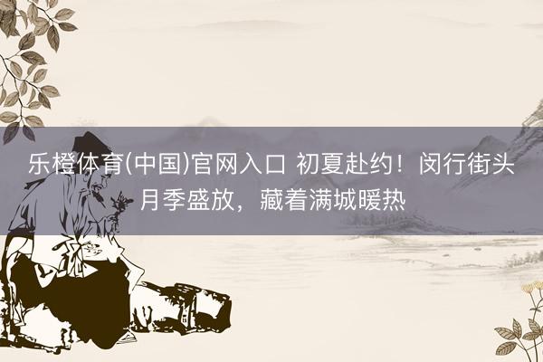 乐橙体育(中国)官网入口 初夏赴约！闵行街头月季盛放，藏着满城暖热