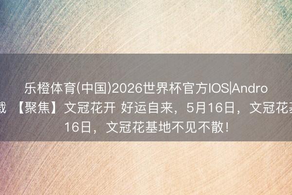 乐橙体育(中国)2026世界杯官方IOS|Android手机app下载 【聚焦】文冠花开 好运自来，5月16日，文冠花基地不见不散！