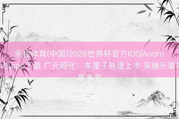 乐橙体育(中国)2026世界杯官方IOS|Android手机app下载 广元昭化：车厘子熟谙上市 采摘乐享丰充