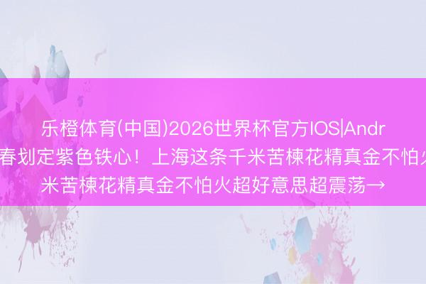 乐橙体育(中国)2026世界杯官方IOS|Android手机app下载 暮春划定紫色铁心！上海这条千米苦楝花精真金不怕火超好意思超震荡→