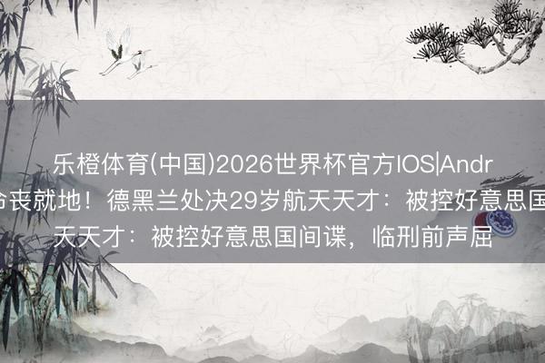 乐橙体育(中国)2026世界杯官方IOS|Android手机app下载 命丧就地！德黑兰处决29岁航天天才：被控好意思国间谍，临刑前声屈
