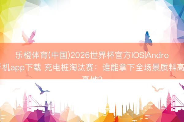 乐橙体育(中国)2026世界杯官方IOS|Android手机app下载 充电桩淘汰赛：谁能拿下全场景质料高地？