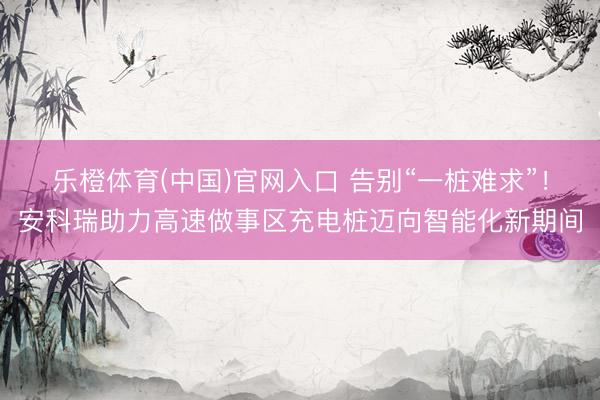 乐橙体育(中国)官网入口 告别“一桩难求”！安科瑞助力高速做事区充电桩迈向智能化新期间