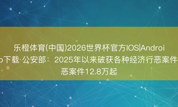 乐橙体育(中国)2026世界杯官方IOS|Android手机app下载 公安部：2025年以来破获各种经济行恶案件12.8万起