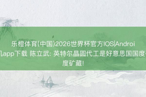 乐橙体育(中国)2026世界杯官方IOS|Android手机app下载 陈立武: 英特尔晶圆代工是好意思国国度矿藏!