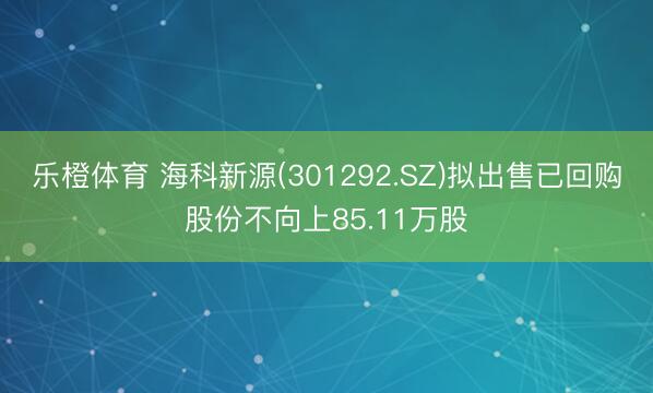 乐橙体育 海科新源(301292.SZ)拟出售已回购股份不向上85.11万股