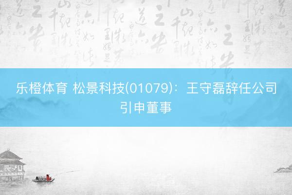 乐橙体育 松景科技(01079)：王守磊辞任公司引申董事