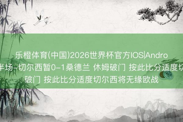 乐橙体育(中国)2026世界杯官方IOS|Android手机app下载 半场-切尔西暂0-1桑德兰 休姆破门 按此比分适度切尔西将无缘欧战
