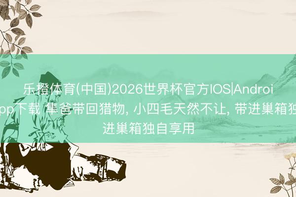 乐橙体育(中国)2026世界杯官方IOS|Android手机app下载 隼爸带回猎物， 小四毛天然不让， 带进巢箱独自享用