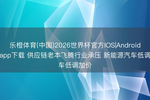 乐橙体育(中国)2026世界杯官方IOS|Android手机app下载 供应链老本飞腾行业承压 新能源汽车低调加价