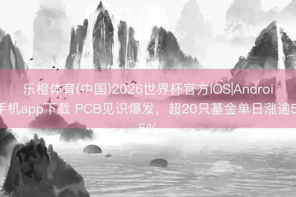 乐橙体育(中国)2026世界杯官方IOS|Android手机app下载 PCB见识爆发，超20只基金单日涨逾5%